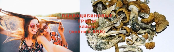 стаф Белоозёрский