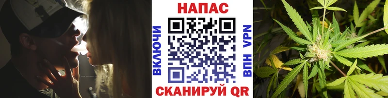 купить наркотик  Монино  Бошки марихуана план 